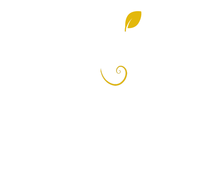 Therapeuticleaf